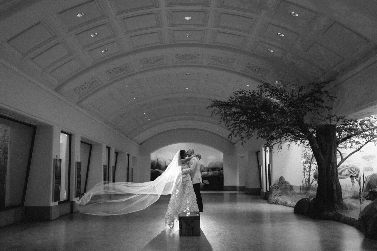 Helena Wong Photography portfolio photo 2. Photo: Helena Wong Photography
