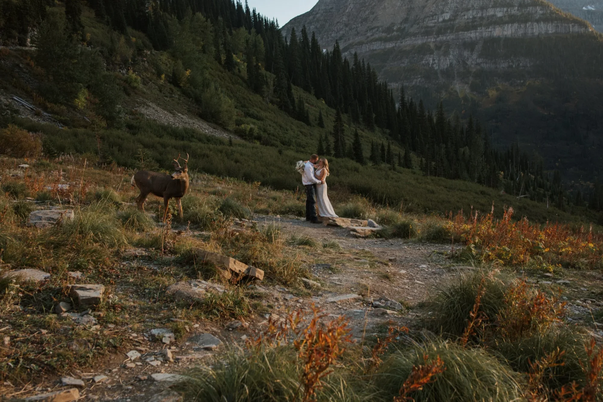 Swoonstruck Photography portfolio photo 3. Photo: Swoonstruck Photography