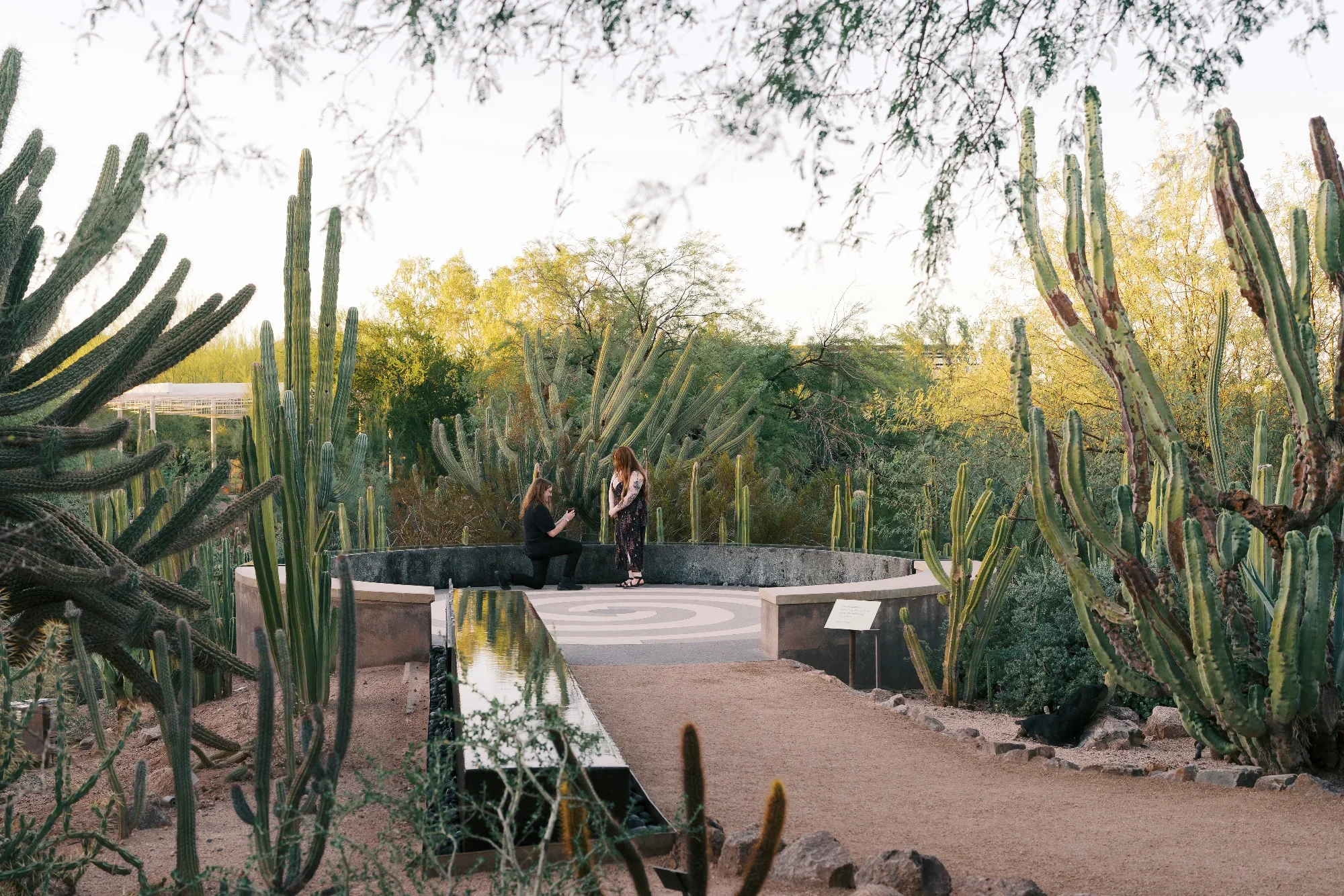 Proposal photo by Frances Photography, Phoenix, AZ