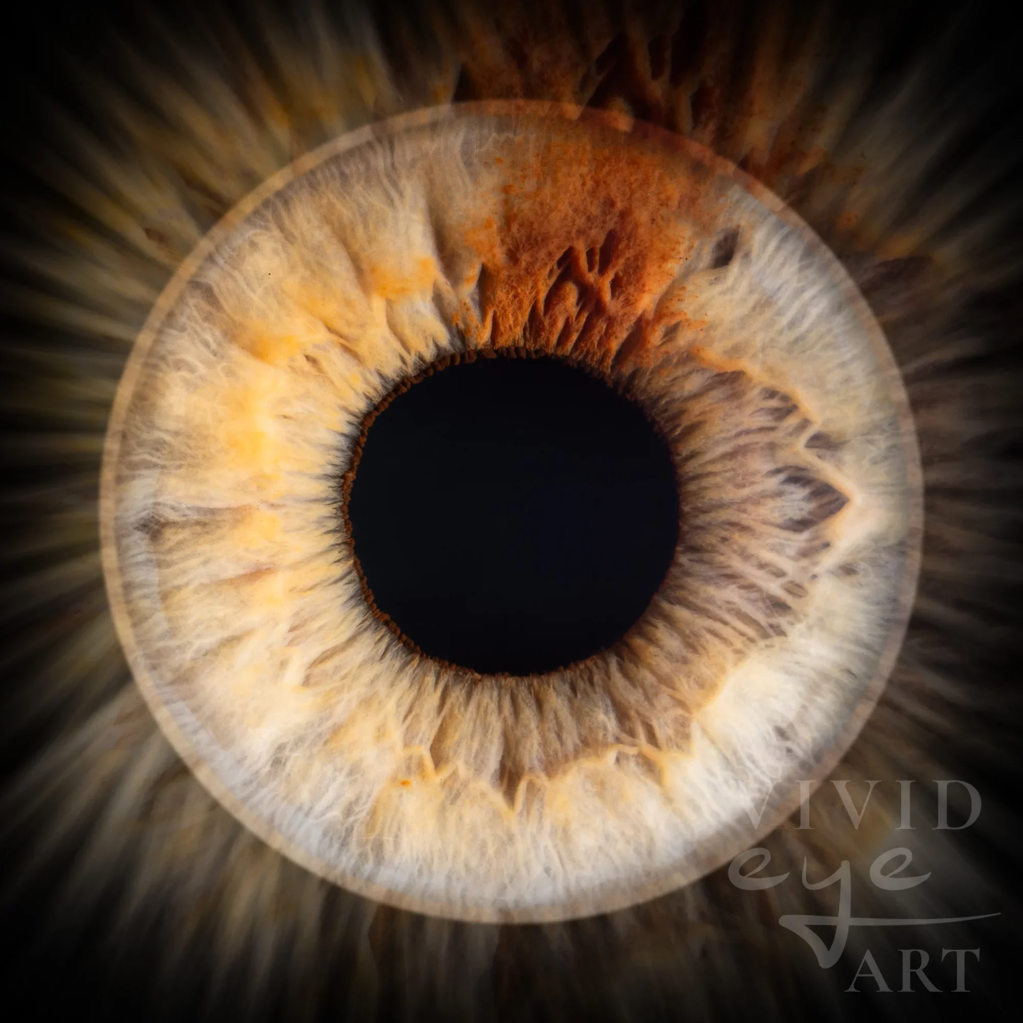 Vivid Eye Art portfolio photo 4