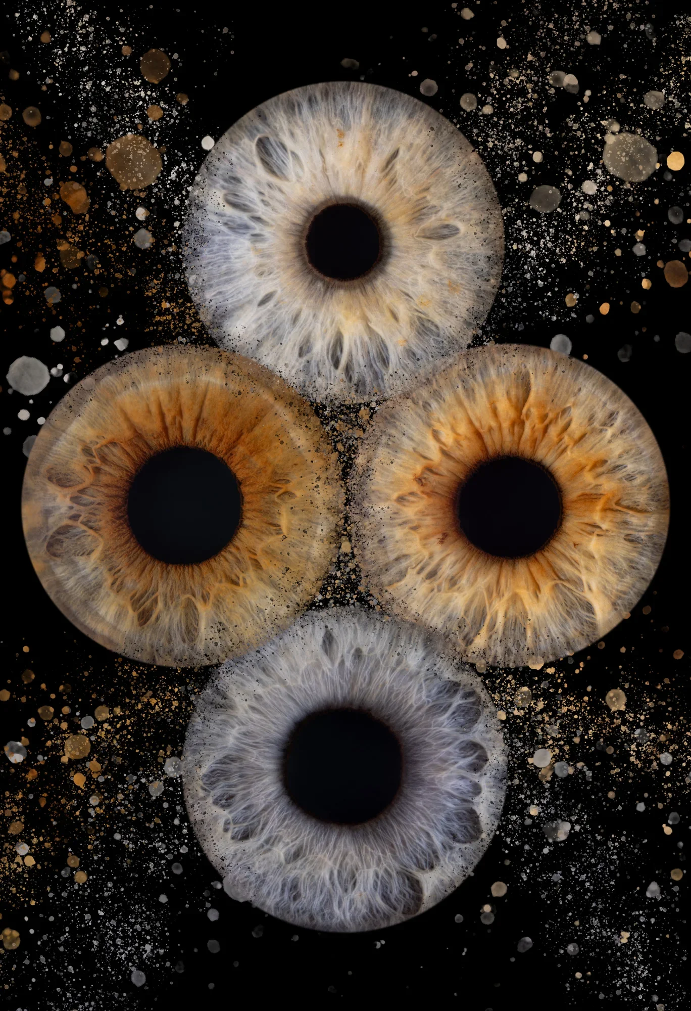 Vivid Eye Art portfolio photo 8