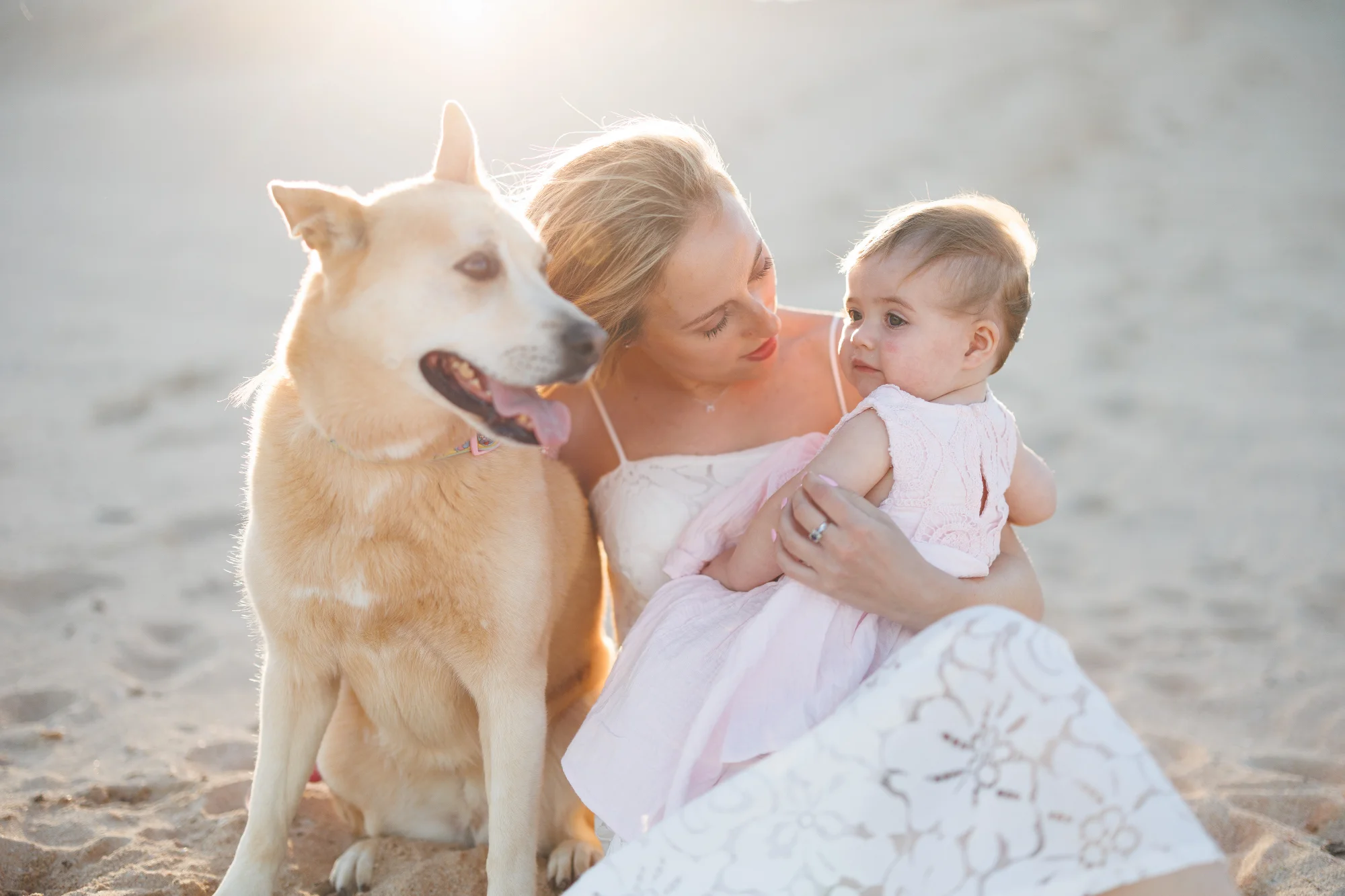 Family photo by Delight Images, Sydney, NSW