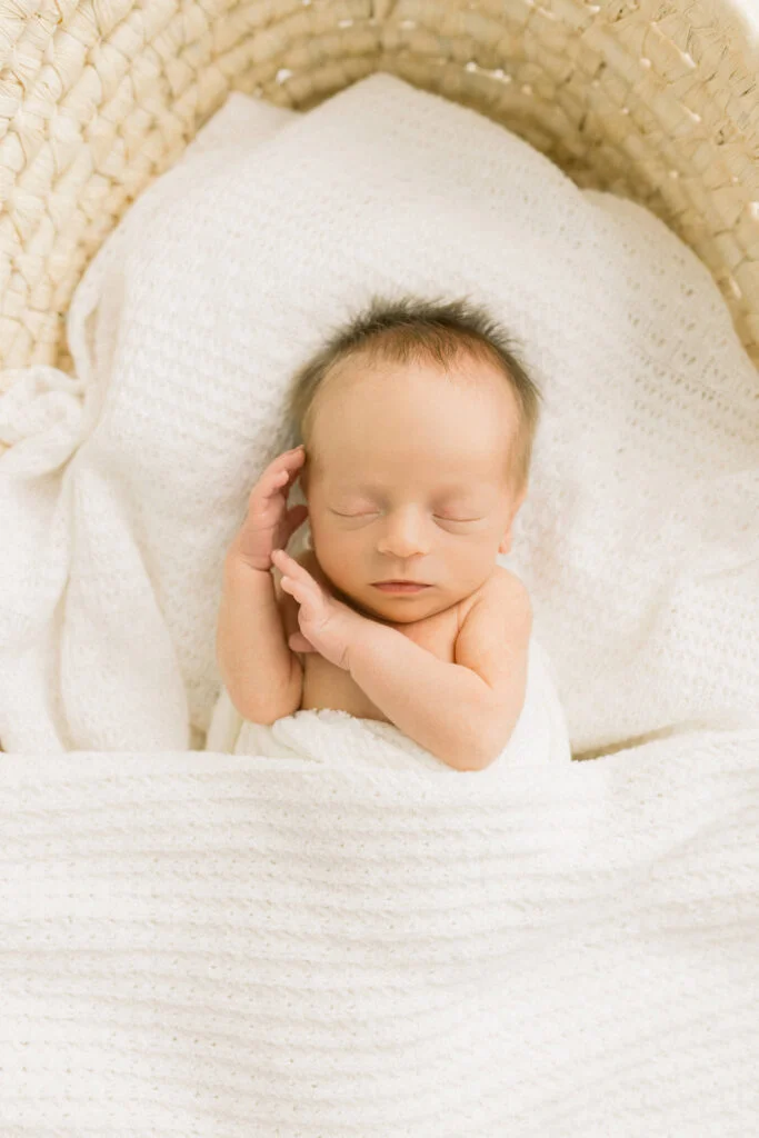 Petite Magnolia Photography thumbnail