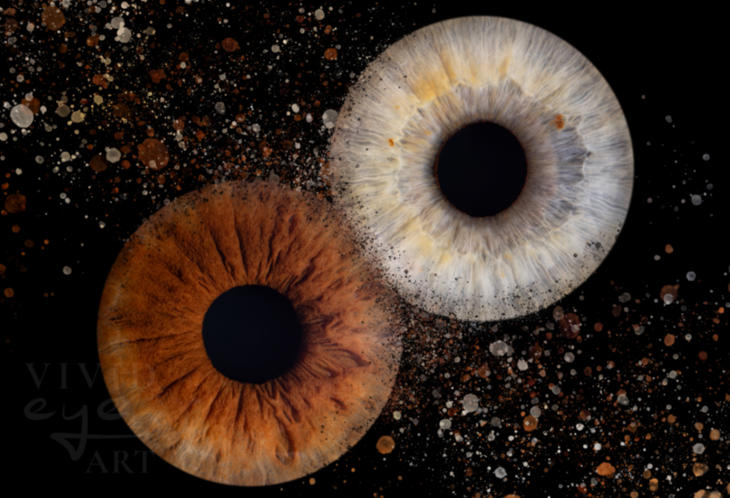 Vivid Eye Art portfolio photo 1