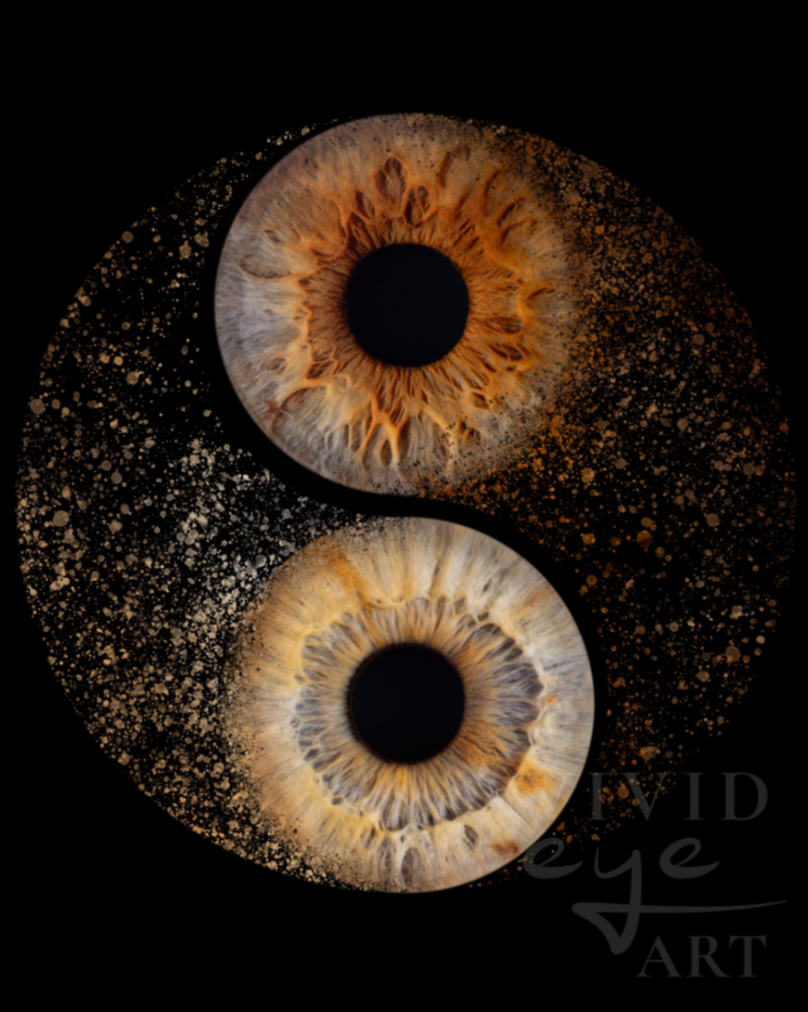 Vivid Eye Art portfolio photo 2