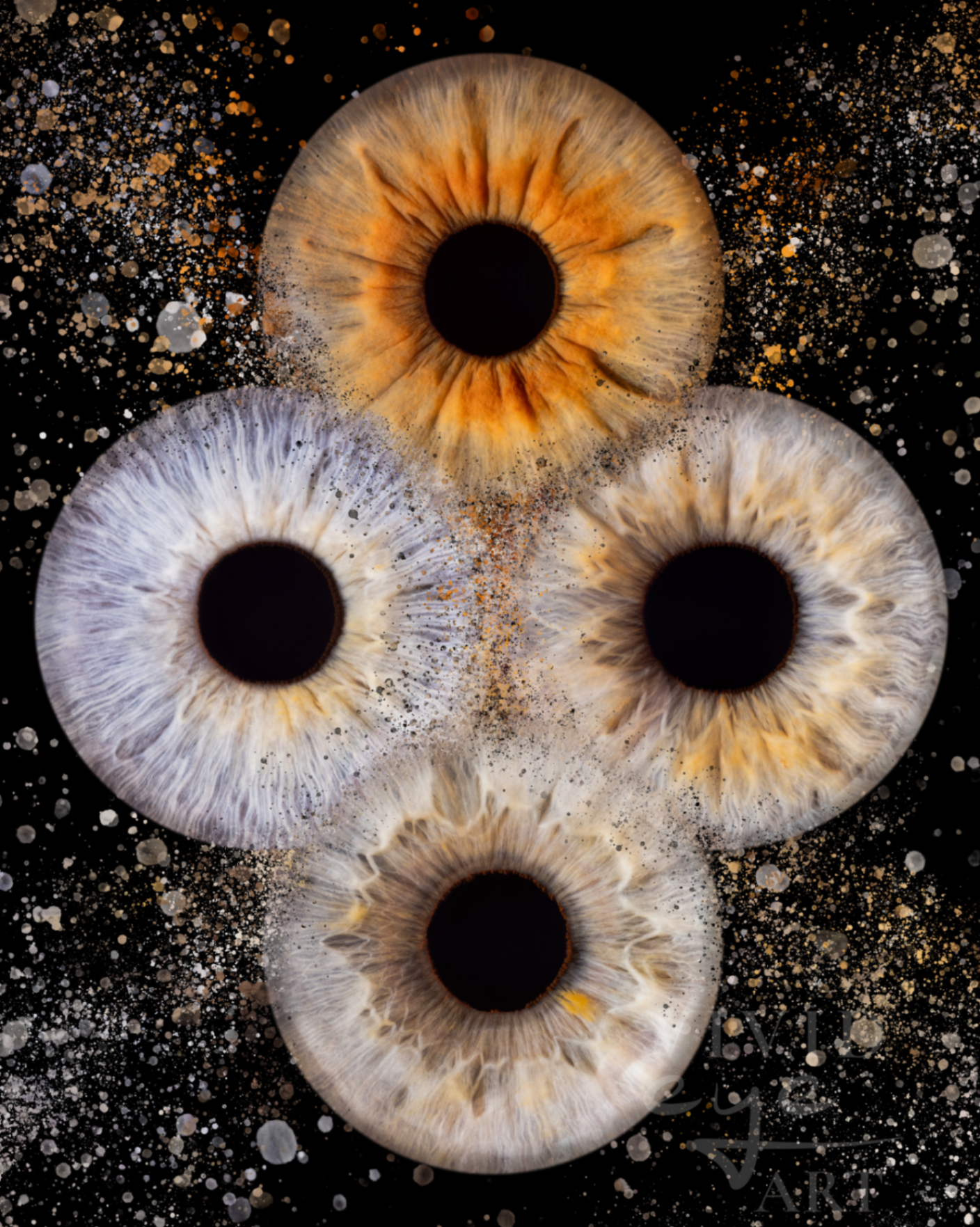 Vivid Eye Art portfolio photo 3