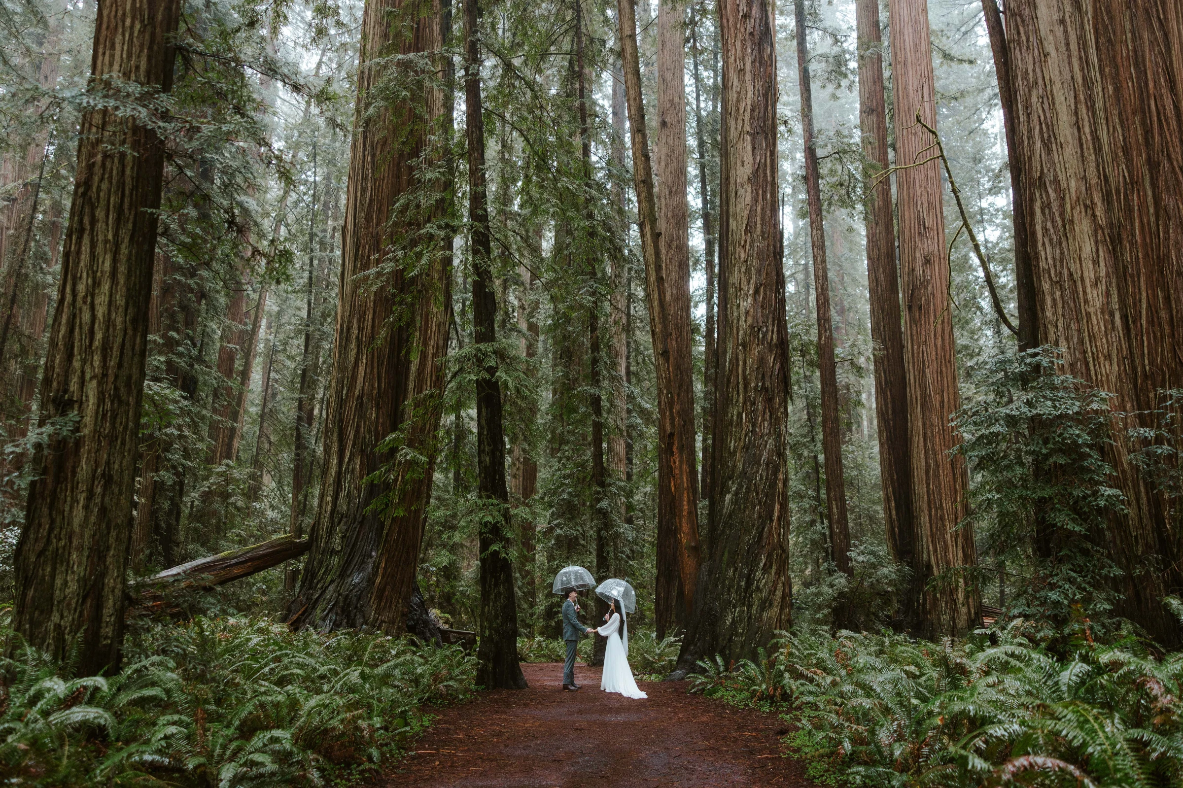 Elopement photo by Brianna Parks Photography, Redding, CA