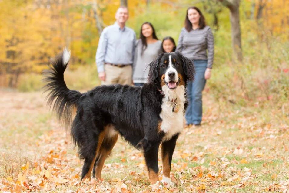 Family photo by Karen Morneau Photography, Fairfield, CT