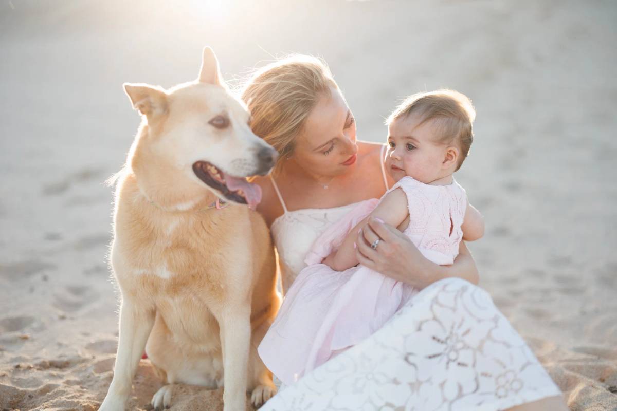 Family photo by Delight Images, Sydney, NSW