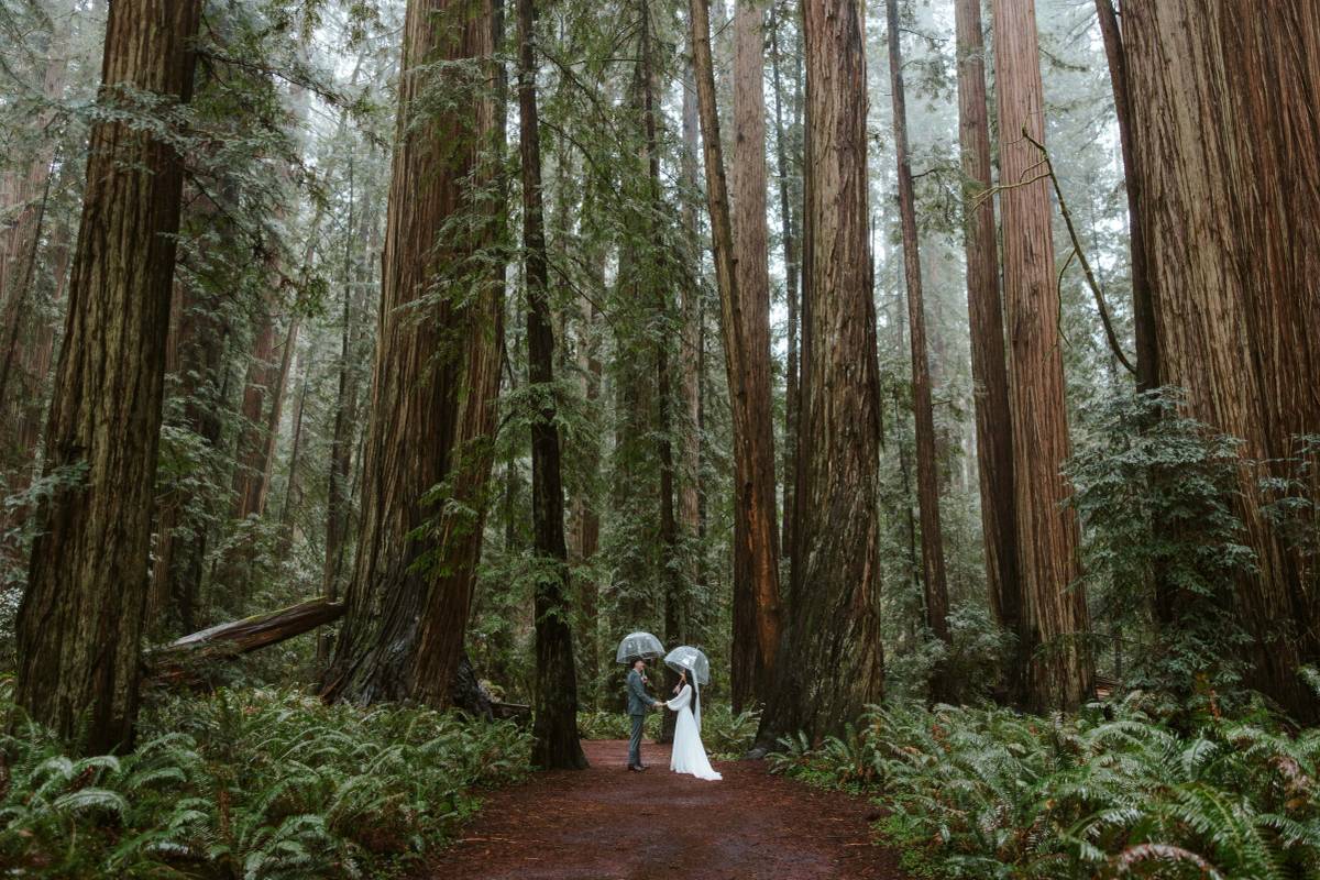 Elopement photo by Brianna Parks Photography, Redding, CA